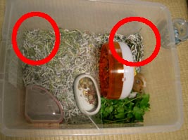 04hamhouse2.jpg (20577 �o�C�g)