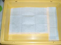 04molhouse1.jpg (10096 �o�C�g)