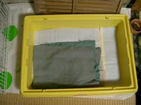 04molhouse2.jpg (13254 �o�C�g)