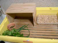 04molhouse4.jpg (14457 �o�C�g)