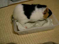 04molhouse5.jpg (11995 �o�C�g)