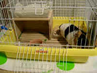 04molhouse6.jpg (17102 �o�C�g)