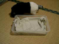 04molhouse8.jpg (11632 �o�C�g)