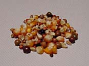 esa1.jpg (11418 �o�C�g)