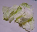 esa12.jpg (8650 �o�C�g)