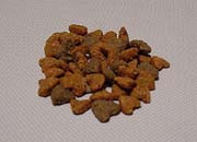 esa2.jpg (10910 �o�C�g)