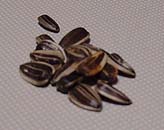 esa5.jpg (11811 �o�C�g)