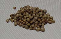 esa9.jpg (12396 �o�C�g)