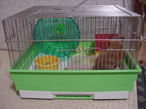 house.tyatya.jpg (19754 �o�C�g)