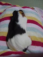 mol10.jpg (13206 �o�C�g)