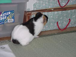 mol7.jpg (17999 �o�C�g)