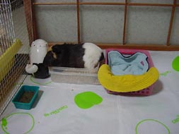 mol8.jpg (16336 �o�C�g)