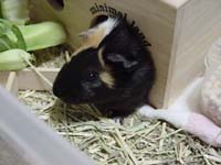 molhouse11.jpg (14416 �o�C�g)