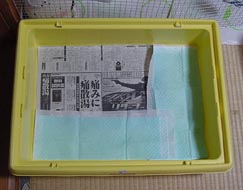 molhouse12.jpg (16363 �o�C�g)