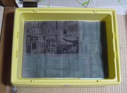 molhouse13.jpg (17058 �o�C�g)