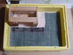 molhouse15.jpg (17166 �o�C�g)