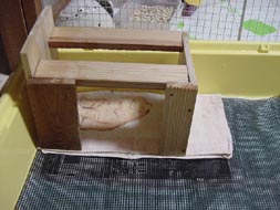 molhouse16.jpg (18726 �o�C�g)