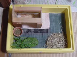 molhouse17.jpg (19716 �o�C�g)