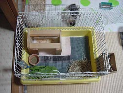 molhouse18.jpg (22170 �o�C�g)