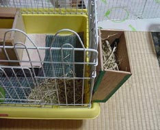 molhouse19.jpg (20910 �o�C�g)