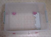 molhouse2.jpg (9824 �o�C�g)