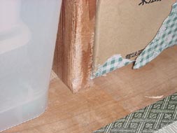 molhouse20.jpg (15391 �o�C�g)