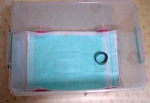 molhouse3.jpg (10253 �o�C�g)