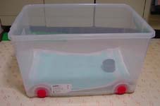 molhouse4.jpg (9566 �o�C�g)