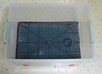 molhouse5.jpg (11383 �o�C�g)