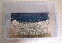 molhouse7.jpg (13441 �o�C�g)