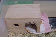 molhouse8.jpg (12826 �o�C�g)