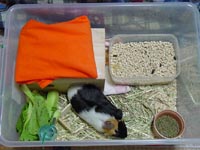 molhouse9.jpg (16948 �o�C�g)