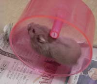 ranaran8.jpg (11041 �o�C�g)