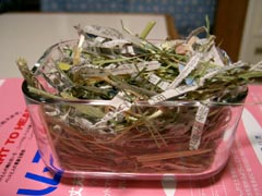 suna5.jpg (21877 �o�C�g)