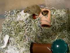 sunahaouse5.jpg (24355 �o�C�g)