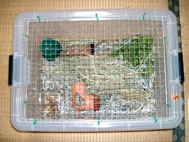 sunahouse1.jpg (26349 �o�C�g)