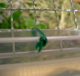 sunahouse3.jpg (11493 �o�C�g)