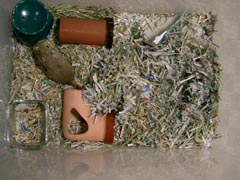 sunahouse6.jpg (21751 �o�C�g)